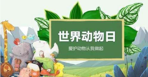 10月实体企业营销热点世界动物日2