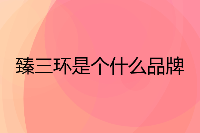 臻三环是个什么品牌，这个品牌怎么样？