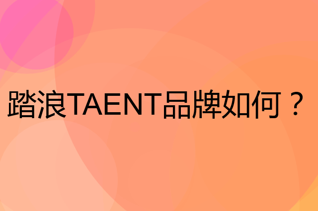 踏浪TAENT是个什么品牌，这个品牌怎么样？