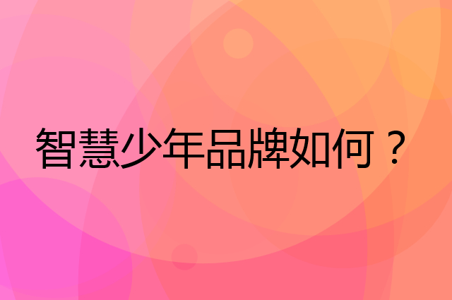 智慧少年是个什么品牌，这个品牌怎么样？