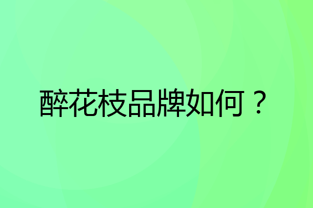 醉花枝是个什么品牌，这个品牌怎么样？