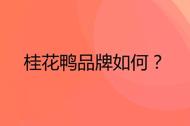 桂花鸭是个什么品牌，这个品牌怎么样？