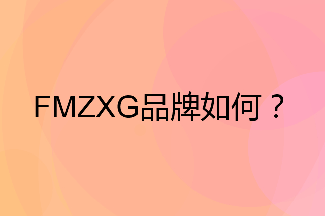 FMZXG是个什么品牌，这个品牌怎么样？