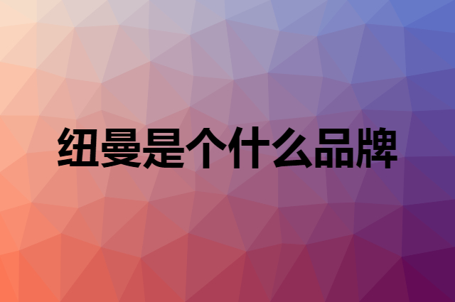纽曼 Newsmy是个什么品牌，这个品牌怎么样？