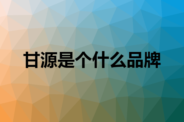 甘源 KAM YUEN是个什么品牌，这个品牌怎么样？