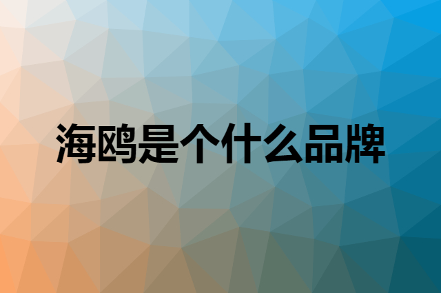 海鸥 SEA-GULL是个什么品牌，这个品牌怎么样？