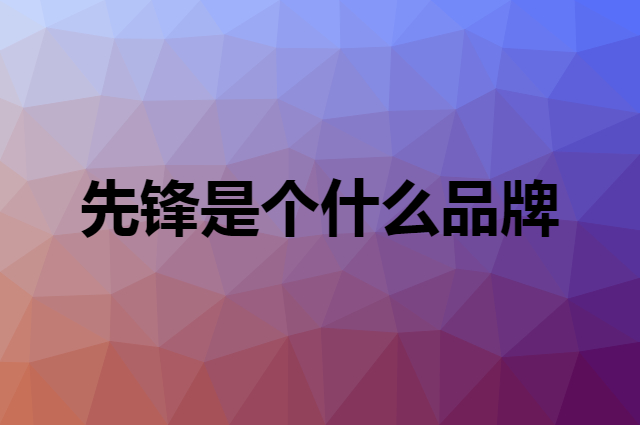 先锋 SINGFUN是个什么品牌，这个品牌怎么样？