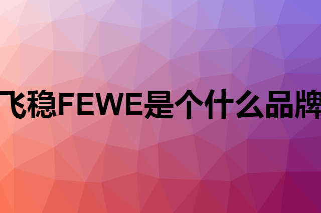 飞稳 FEWE是个什么品牌，这个品牌怎么样？