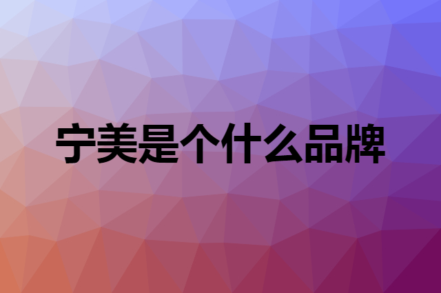 宁美 NINGMEI是个什么品牌，这个品牌怎么样？