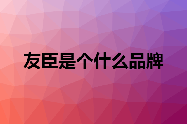友臣是个什么品牌，这个品牌怎么样？