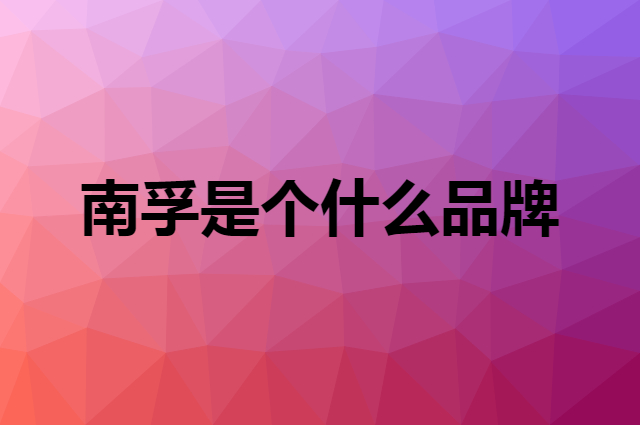 南孚 NANFU是个什么品牌，这个品牌怎么样？