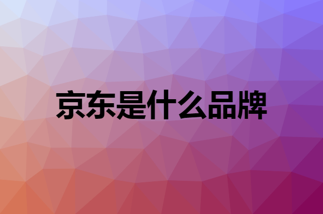 京东 JINGDONG是个什么品牌，这个品牌怎么样？