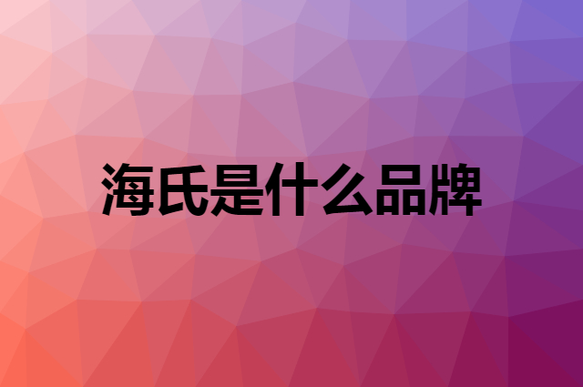海氏 Hauswirt是个什么品牌，这个品牌怎么样？