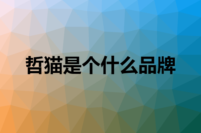 哲猫是个什么品牌，这个品牌怎么样？