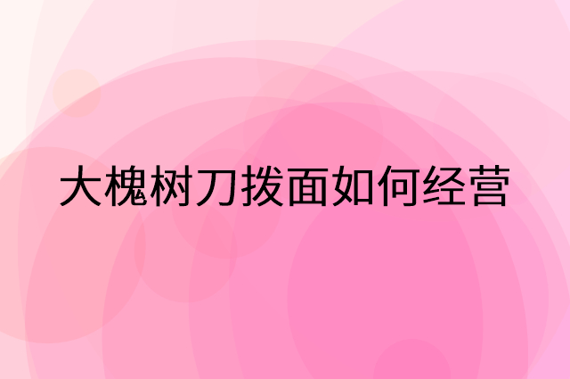 大槐树刀拨面怎么做营销活动宣传，两个提升业绩的工具
