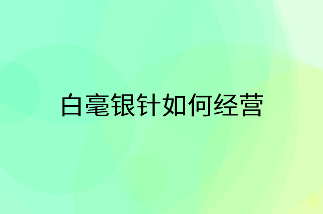 白毫银针怎么做营销活动宣传，两个提升业绩的工具